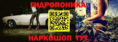 бошки Славгород