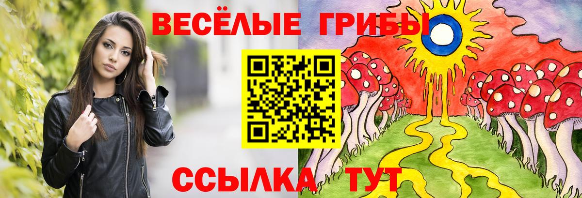 Новый Уренгой  Галлюциногенные грибы мицелий  Вход с VPN 